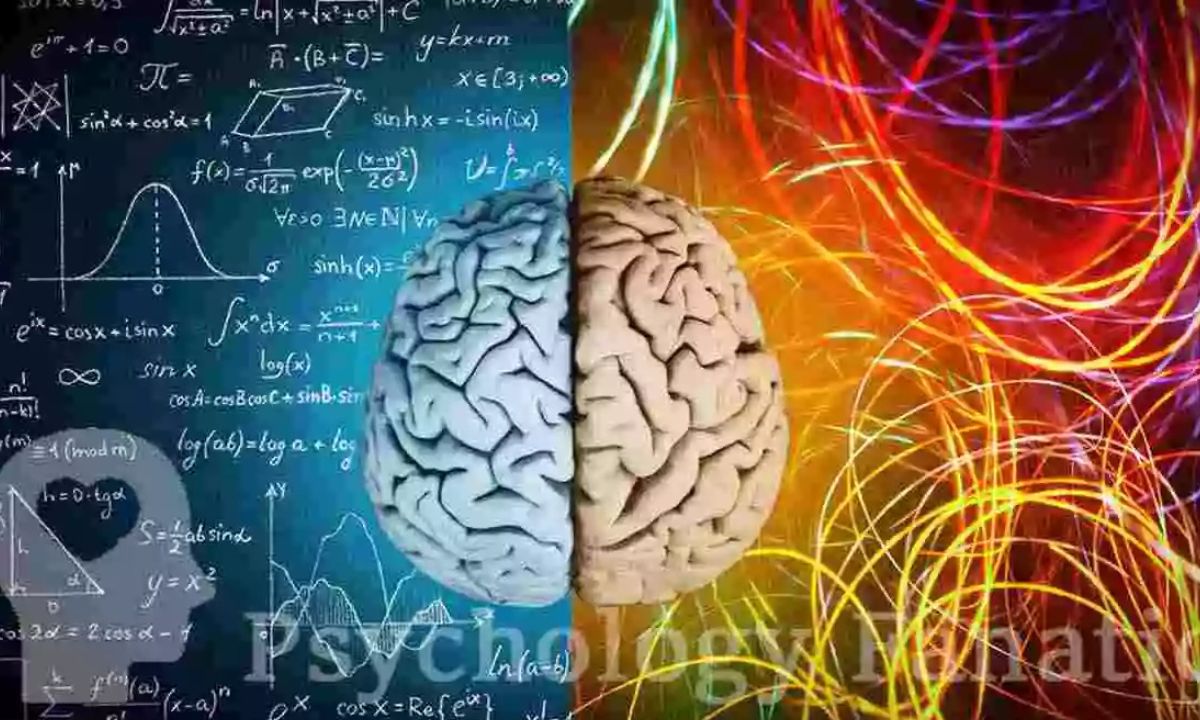 A wooden signpost at a fork in a forest road. The right path is wide and sunlit, labeled 'Autonomy.' The left path is narrow and shadowed, labeled 'Compulsion.'