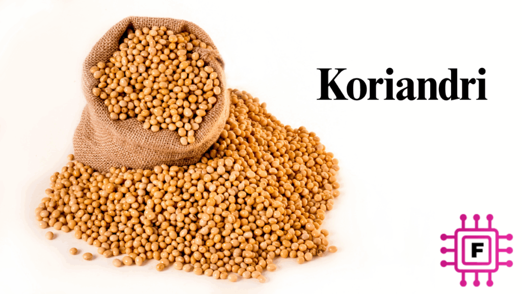 A side-by-side shot: on the left, a bunch of vibrant green fresh cilantro (Koriandri) leaves; on the right, a pile of small, beige, round coriander seeds.