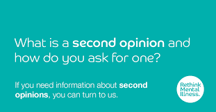 Person looking conflicted while weighing a small notepad (intuition) against a large stack of formal papers (expert opinion).